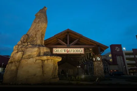 Great Wolf Lodge - Webster, TX image